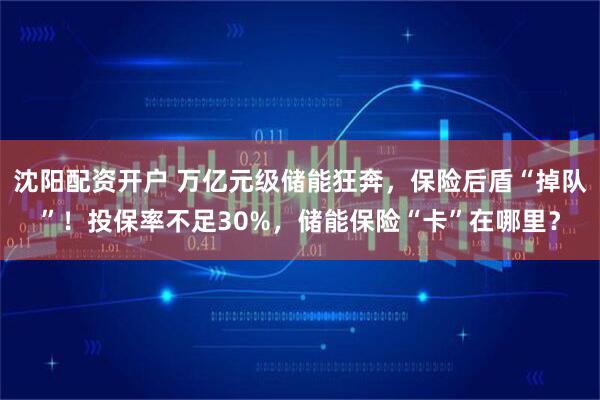 沈阳配资开户 万亿元级储能狂奔，保险后盾“掉队”！投保率不足30%，储能保险“卡”在哪里？