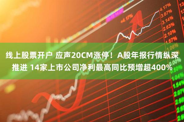 线上股票开户 应声20CM涨停！A股年报行情纵深推进 14家上市公司净利最高同比预增超400%