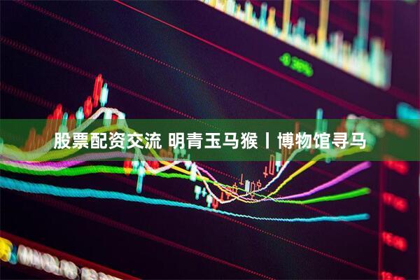 股票配资交流 明青玉马猴丨博物馆寻马
