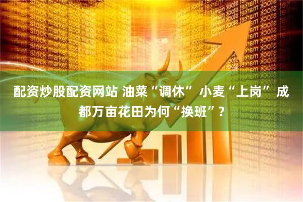 配资炒股配资网站 油菜“调休” 小麦“上岗” 成都万亩花田为何“换班”？