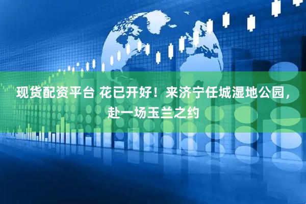 现货配资平台 花已开好！来济宁任城湿地公园，赴一场玉兰之约